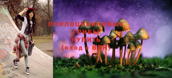спайс Белокуриха