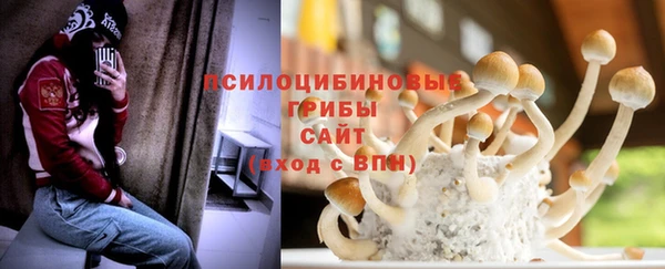прущие крисы Балахна