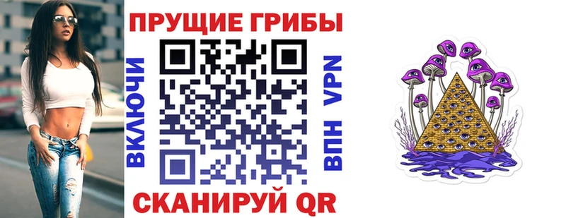 Псилоцибиновые грибы мухоморы  дарк нет какой сайт  Нерюнгри  закладки 